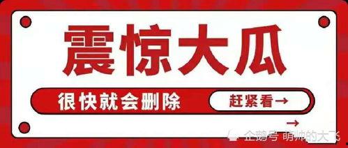 吃瓜 娱乐八卦图