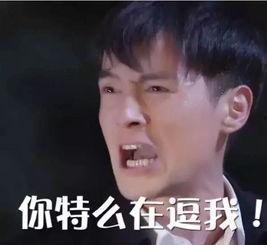 娱乐吃瓜酱搞笑,笑料百出！娱乐吃瓜酱带你领略搞笑瞬间